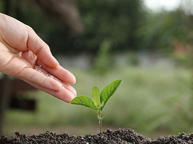 a sunset in an orange sky reflecting yellow over the Gulf of Mexico class=