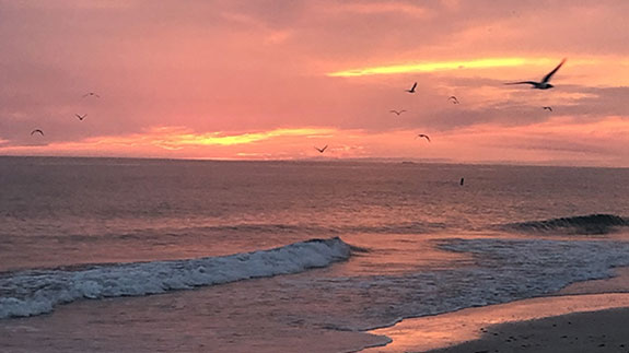 sunset over water with birds flying overhead
