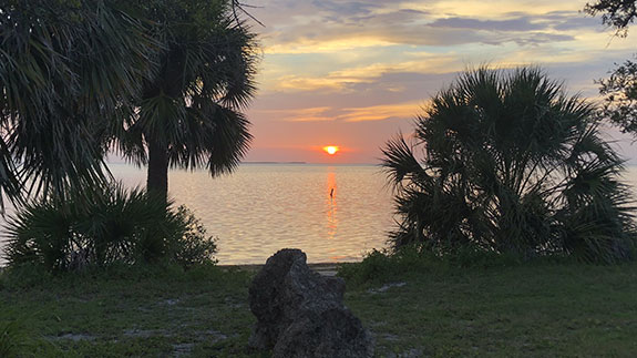 a grassy beach with palm trees and a rock with the sun setting between them in the distance