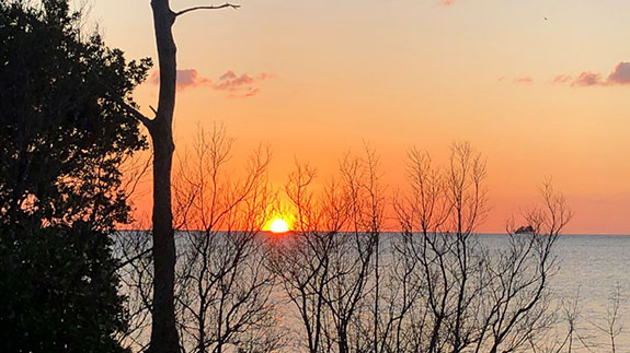 the sun setting into the water seen through some plants at the water's edge