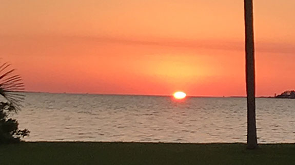 the sun setting with a palm tree trunk on the right