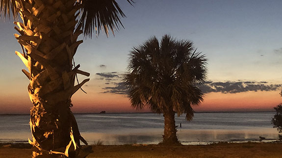 two palm trees at the water's edge with sunset at the horiaon line in the distance