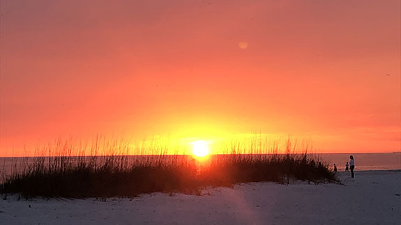 a tranquil sunset over water with seen through a patch of grass on the sand